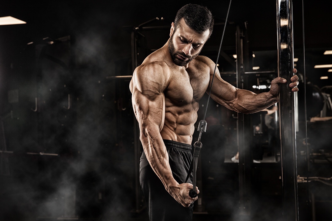 legal steroids for muscle growth