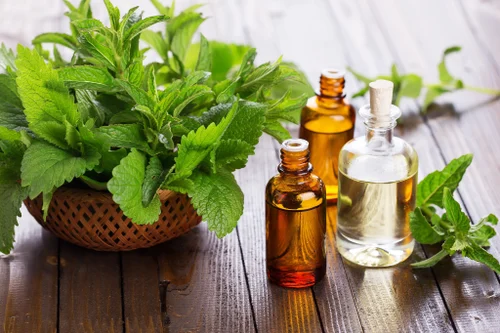 Exploring the Benefits of Essential Oils in Hong Kong