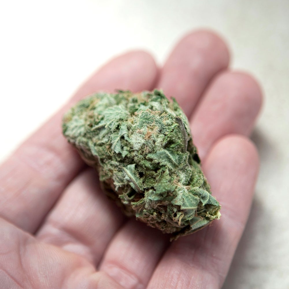 Cannabis